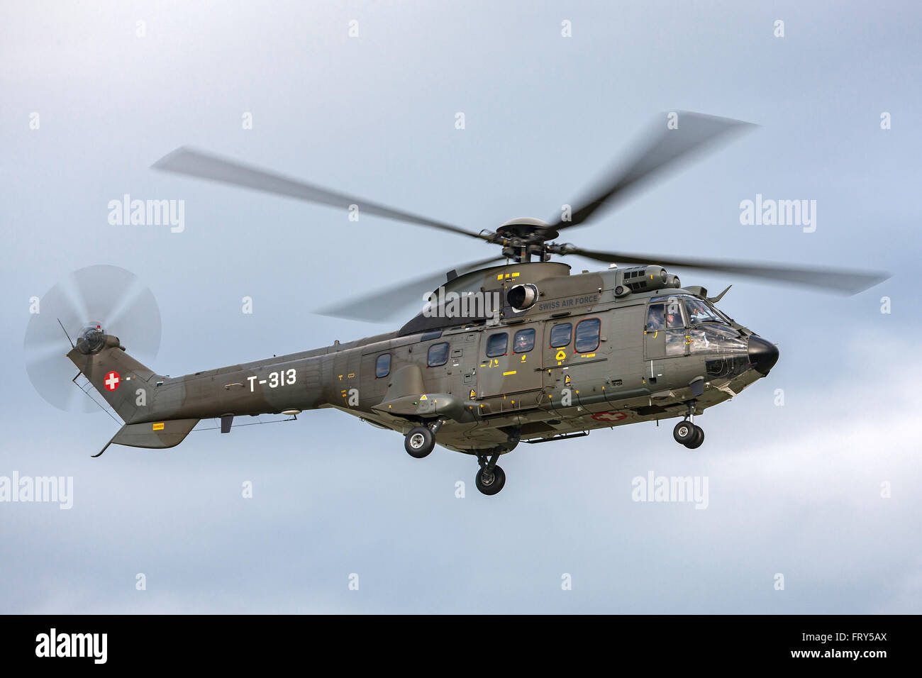Aerospatiale AS332 (TH89) Super Puma Military helicopter T-313 from the  Swiss Air Force (Schweizer Luftwaffe Stock Photo - Alamy