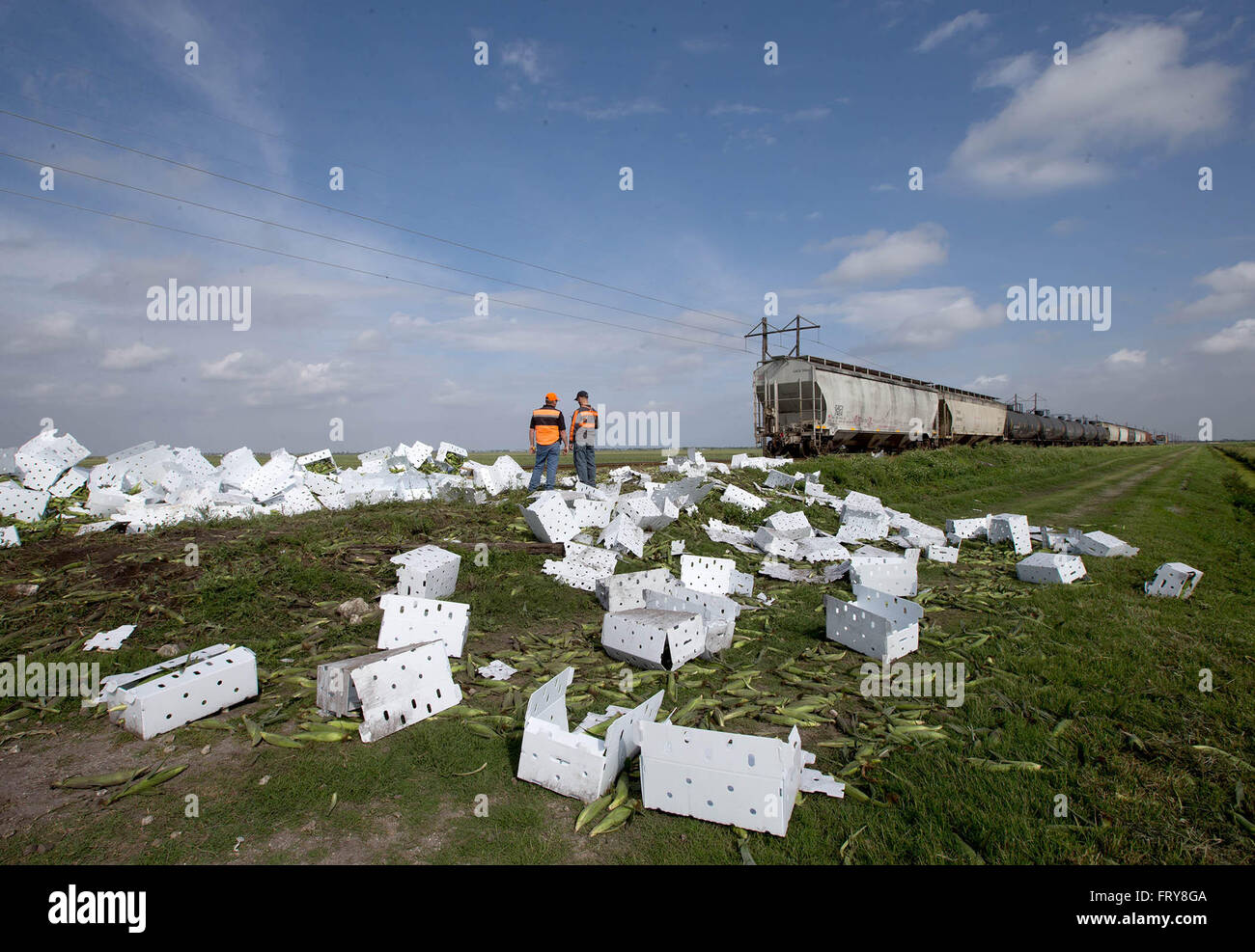 Pahokee, Florida, USA. 24th Mar, 2016. A 50,000 pound tractor trailer loaded with sweet corn was