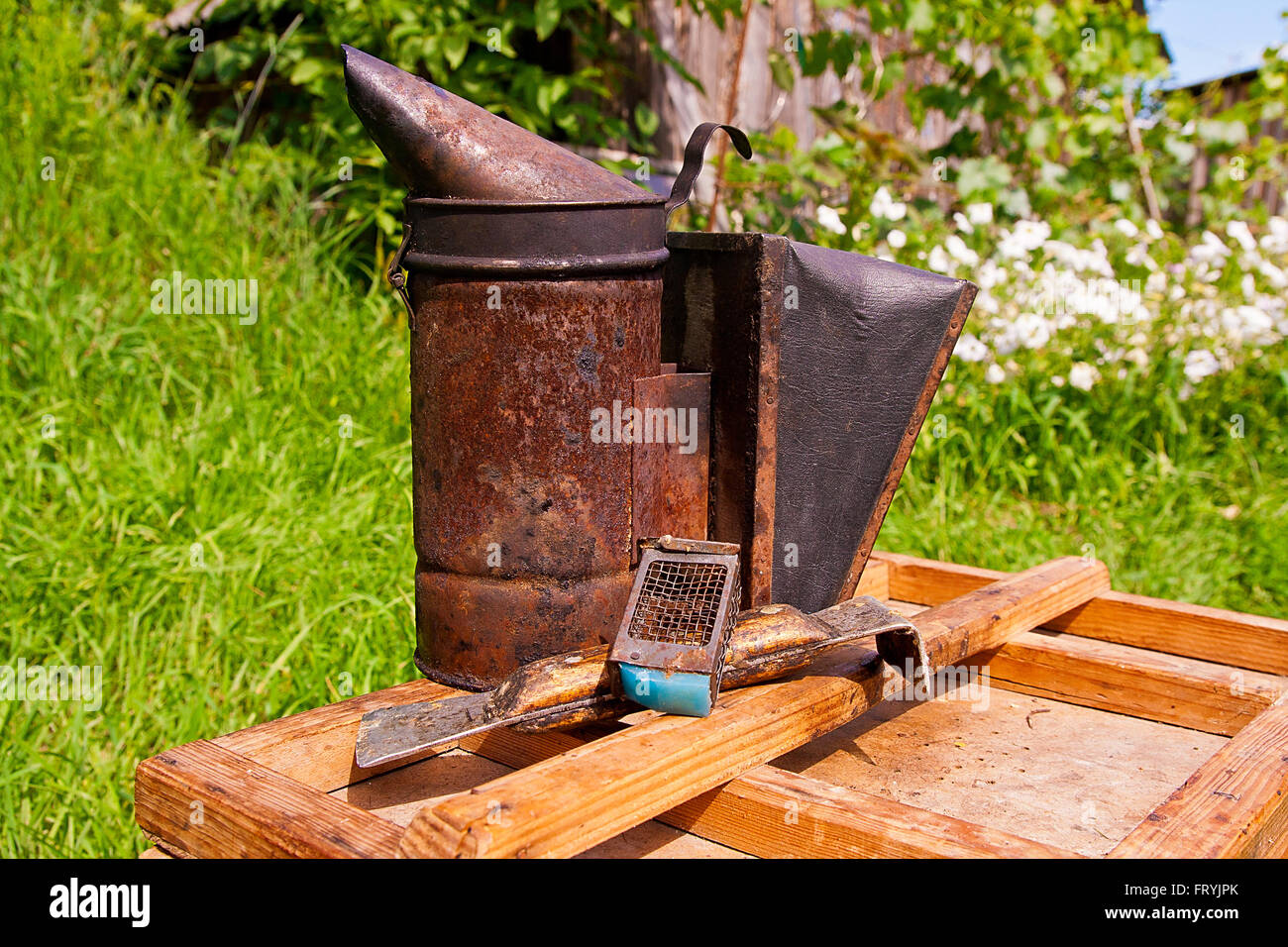 Vintage smoker and different kinds of beekeeper knifes, metal strainer