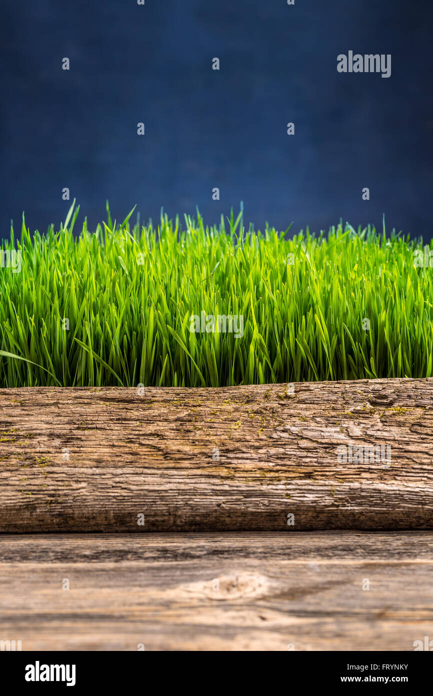 Vintage old wooden fence with green grass Stock Photo - Alamy
