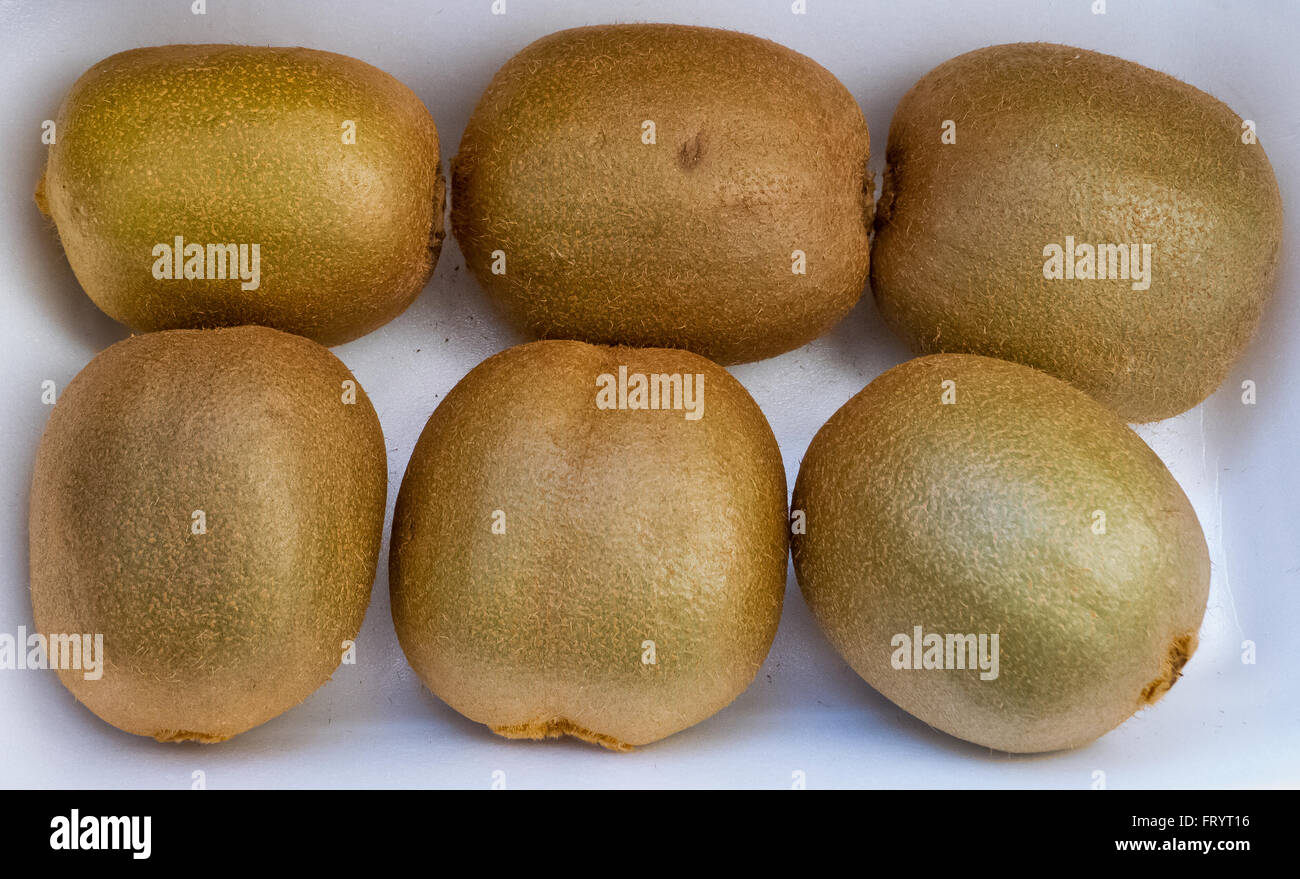 Kiwi fruit closely. Stock Photo