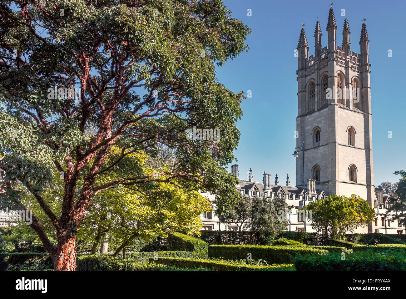 Magdalen College Viewed From Botanical garden Oxford UK Stock Photo