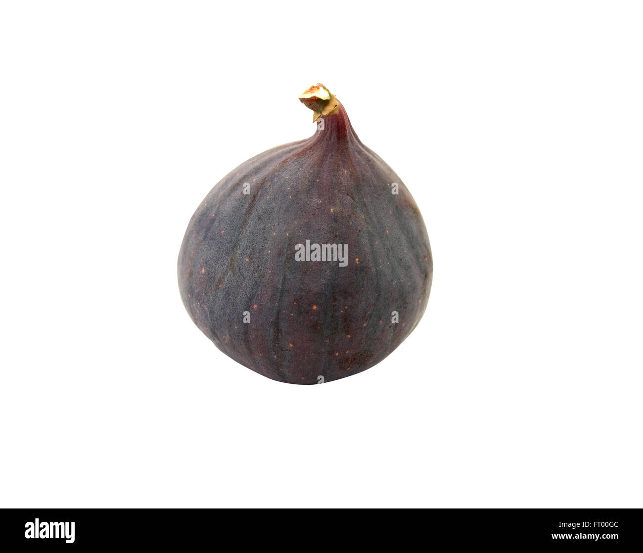 One freshness fig on white background. Isolated with clipping path Stock Photo