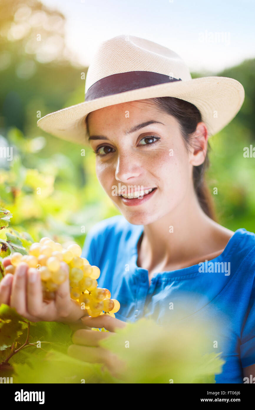 Cheerful woman picking grapes in the garden Stock Photo Alamy