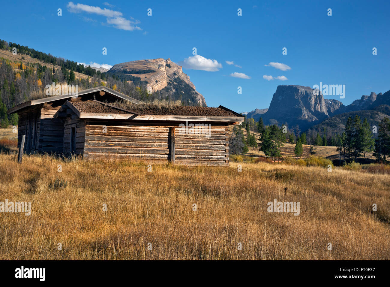 Wyoming The Old Osborn Cabin Located In View Of Lower Green