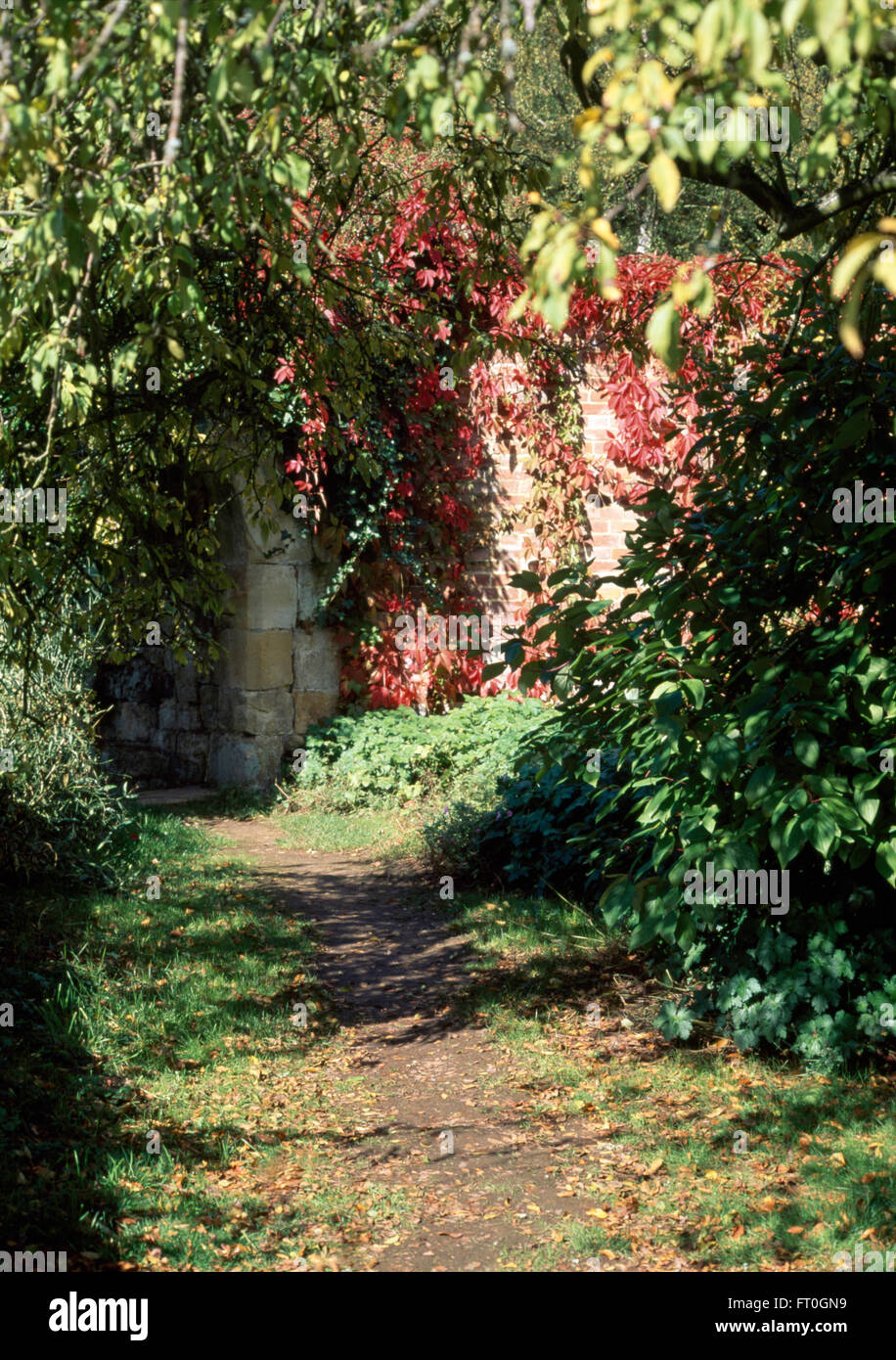 Path between shrubs in walled garden in early Autumn Stock Photo