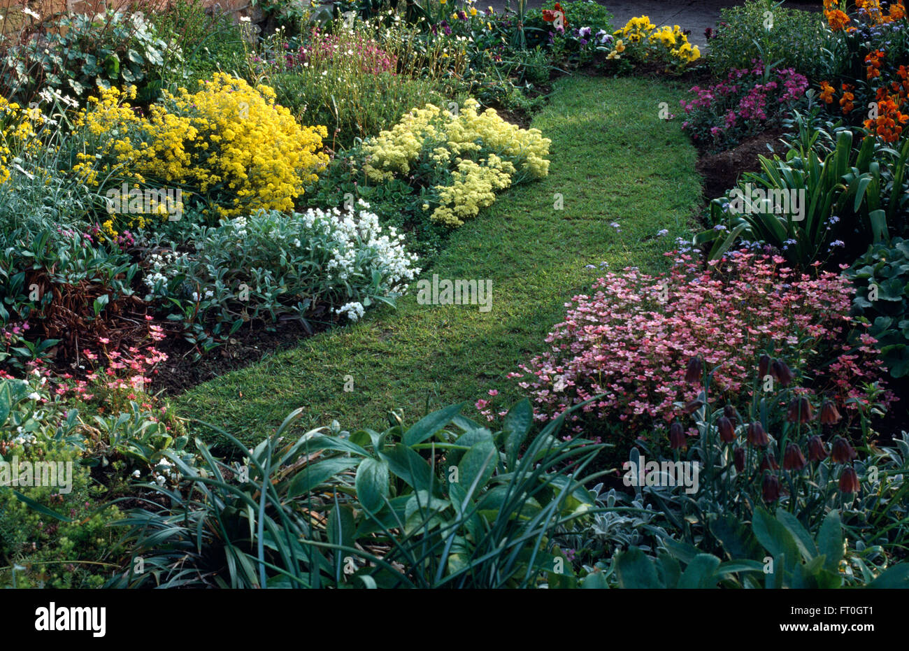 Colorful perennials in summer borders either side of a grass path Stock Photo