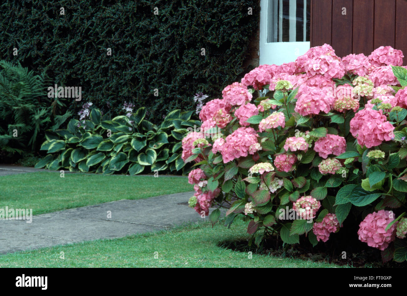 Garden Muses Not Another Toronto Gardening Blog Worth The Wait