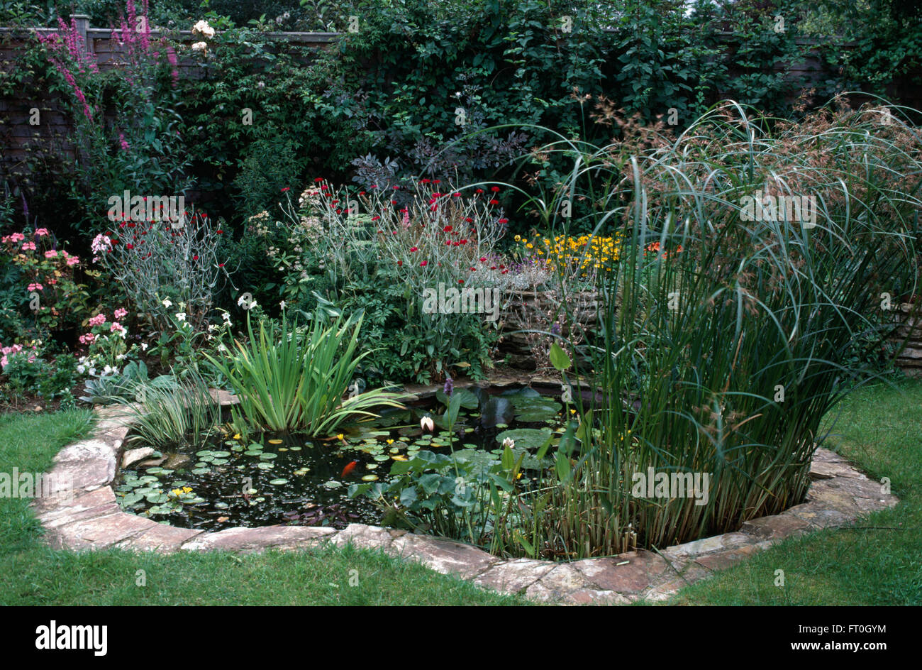 Stone paved edging around a curved pond in a town garden with a colorful perennial border Stock Photo