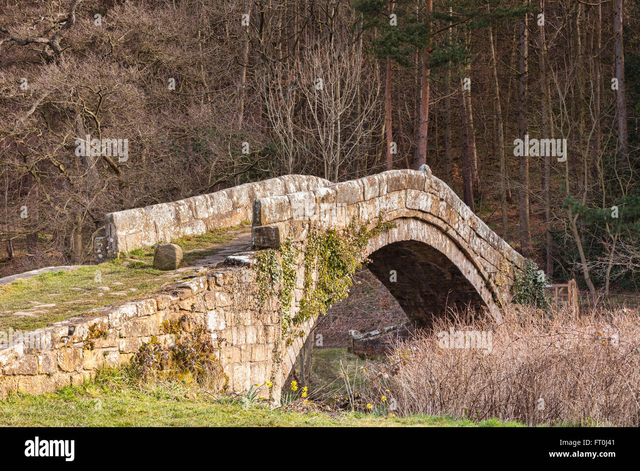 Beggars Bridge, built by Thomas Ferris in 1619, Glaisdale, North Yorkshire, England, UK Stock Photo