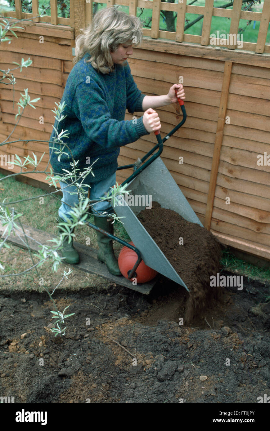 Woman adding compost from a wheelbarrow onto a newly made border     FOR EDITORIAL USE ONLY Stock Photo