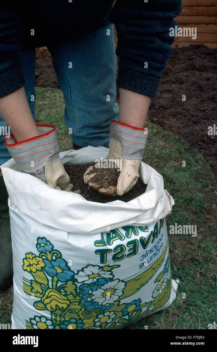 Close-up of hands with a bag of compost Stock Photo
