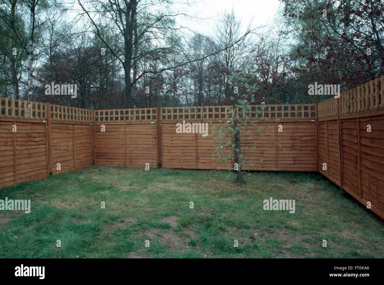 Newly installed wooden fence in a new garden Stock Photo