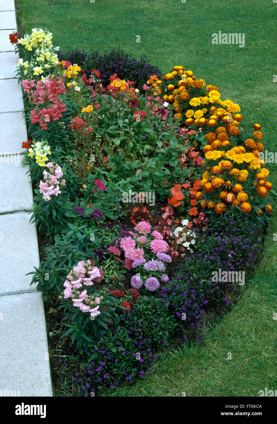 Colorful annuals in a semi-circular garden border Stock Photo