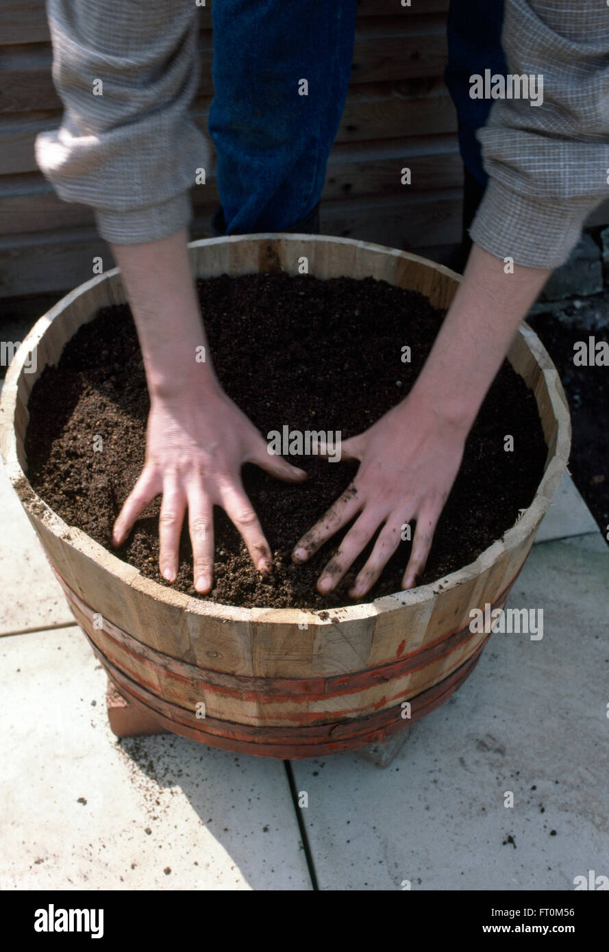 Close-up of a gardener flattening down compost in a wooden barrel Stock Photo