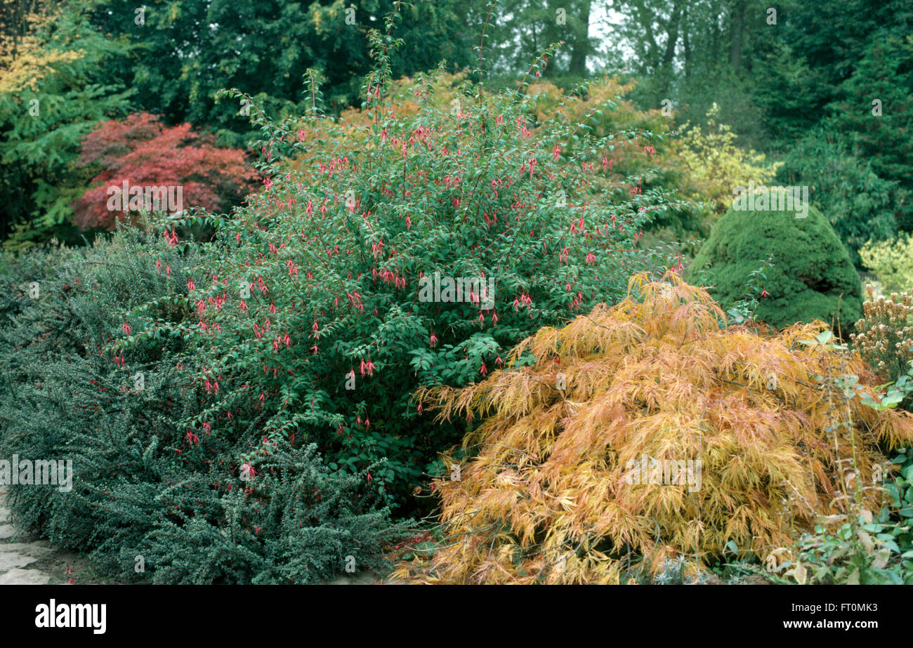 Late summer garden border hi-res stock photography and images - Alamy