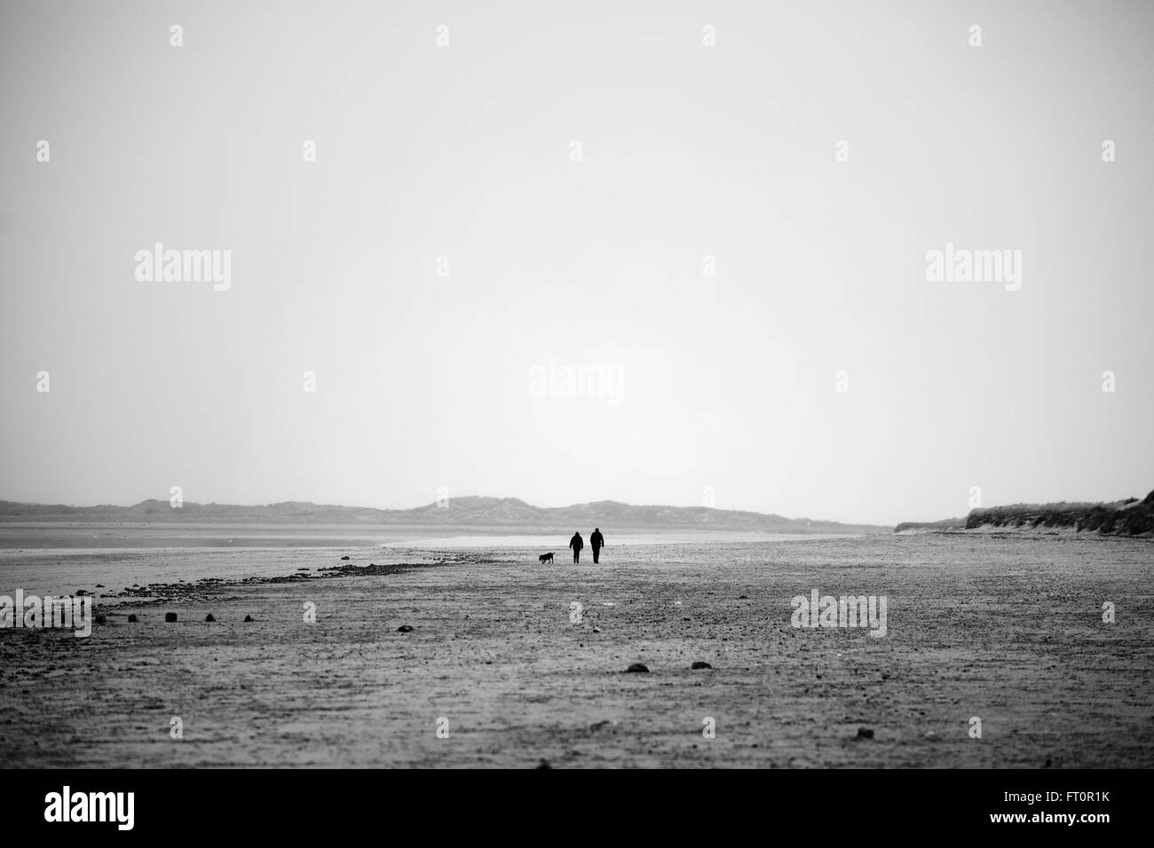 Man and a woman walking with a dog on Brancaster beach, Norfolk, England, UK. Stock Photo