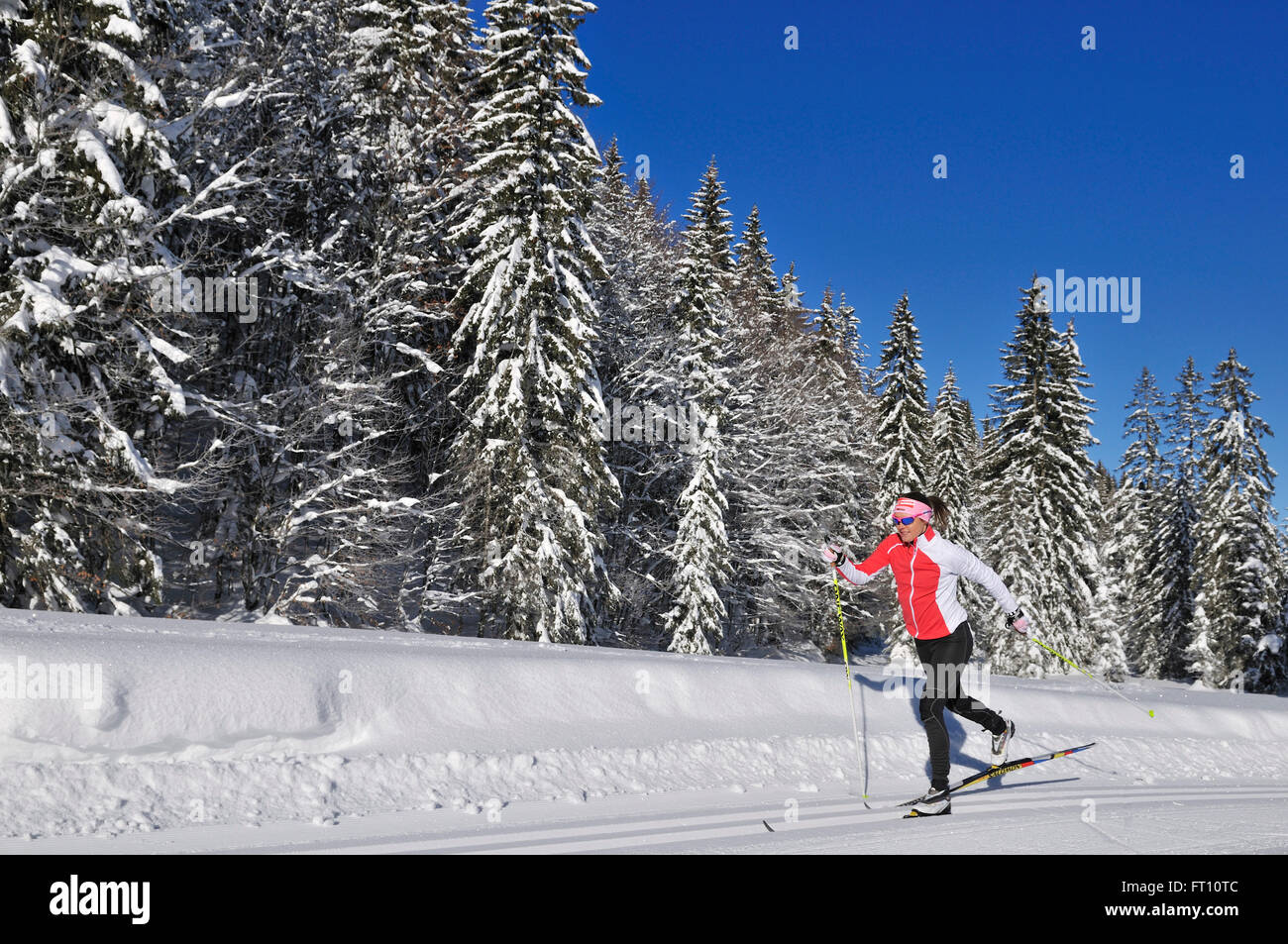 Woman crosscountry skiing, Hemmersuppenalm, Reit im Winkl, Chiemgau, Bavaria, Germany Stock