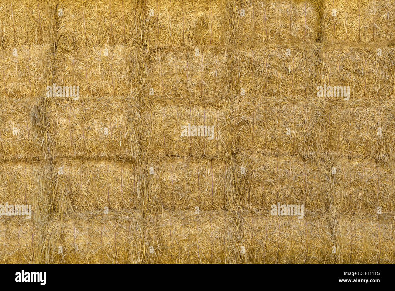 Densely stacked, square bales of straw in closeup Stock Photo Alamy