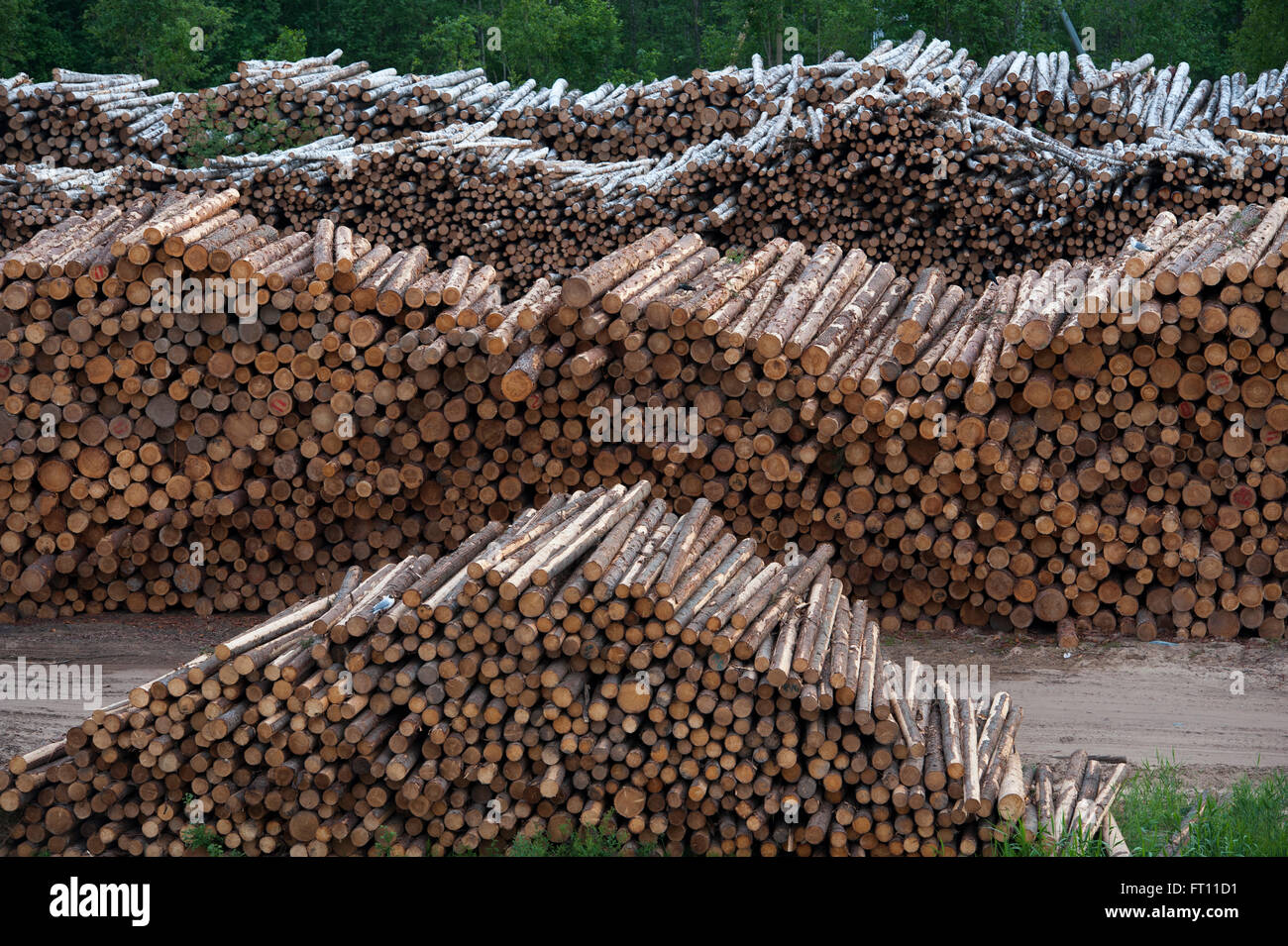 Tree logs for transport, Volga-Baltic Canal, Russia Stock Photo
