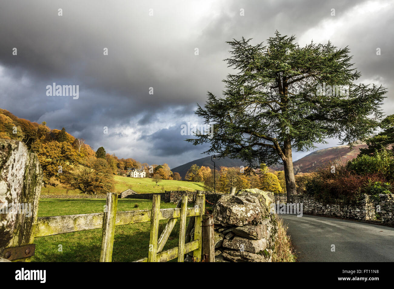 Red Bank, Grasmere, Lake District, Cumbria, England UK Stock Photo Alamy