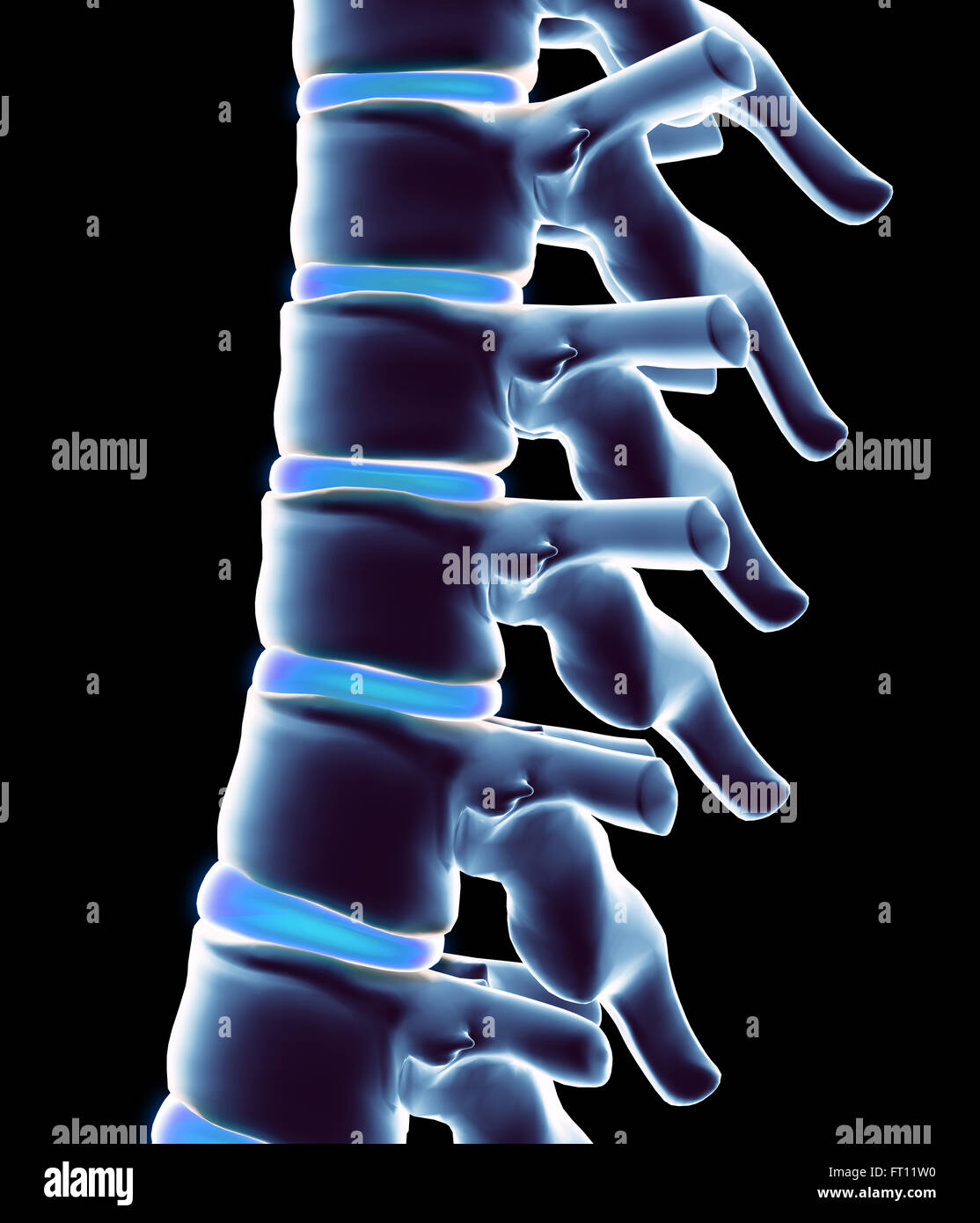 Human joint highlighted x ray hi-res stock photography and images - Alamy