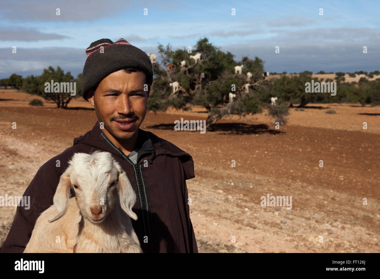 Shepherd in front of a herd of goats near an argan tree, Essaouira, Morocco Stock Photo
