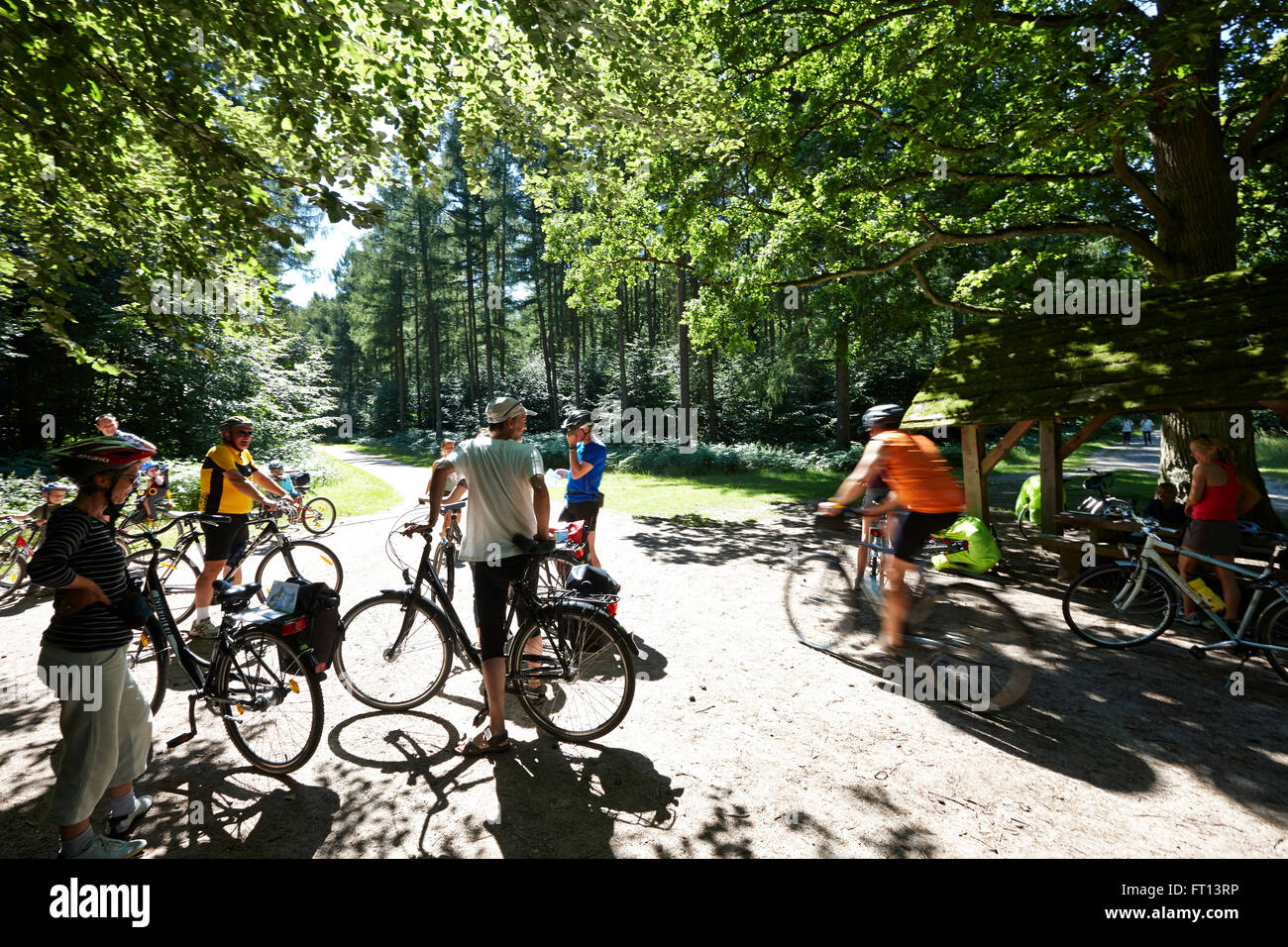 Cyclists at crossing in beech foest, nature reserve Granitz, Southeast  Ruegen Biosphere Reserve, Mecklenburg-Western Pomerania, Germany Stock  Photo - Alamy