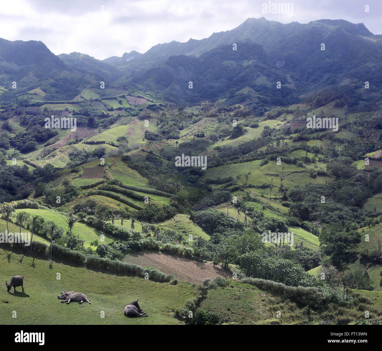 Marlboro Hills in Batanes, Batan Island, Batanes, Philippines, Asia Stock Photo