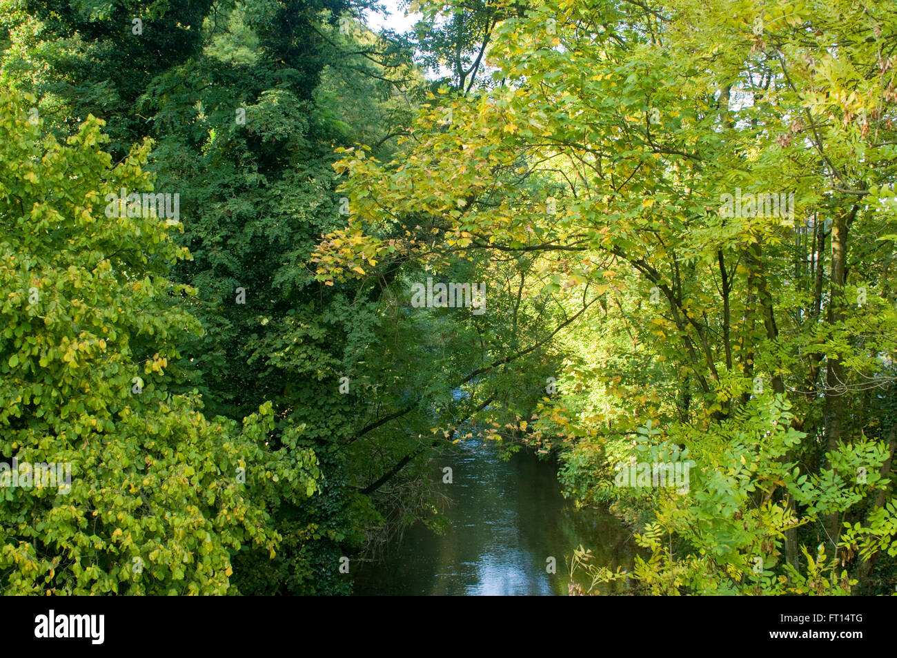 BRD, Nordrhein-Westfalen, Odenthal im Rheinisch-Bergischen Kreis, Bach durch die Stadt Stock Photo