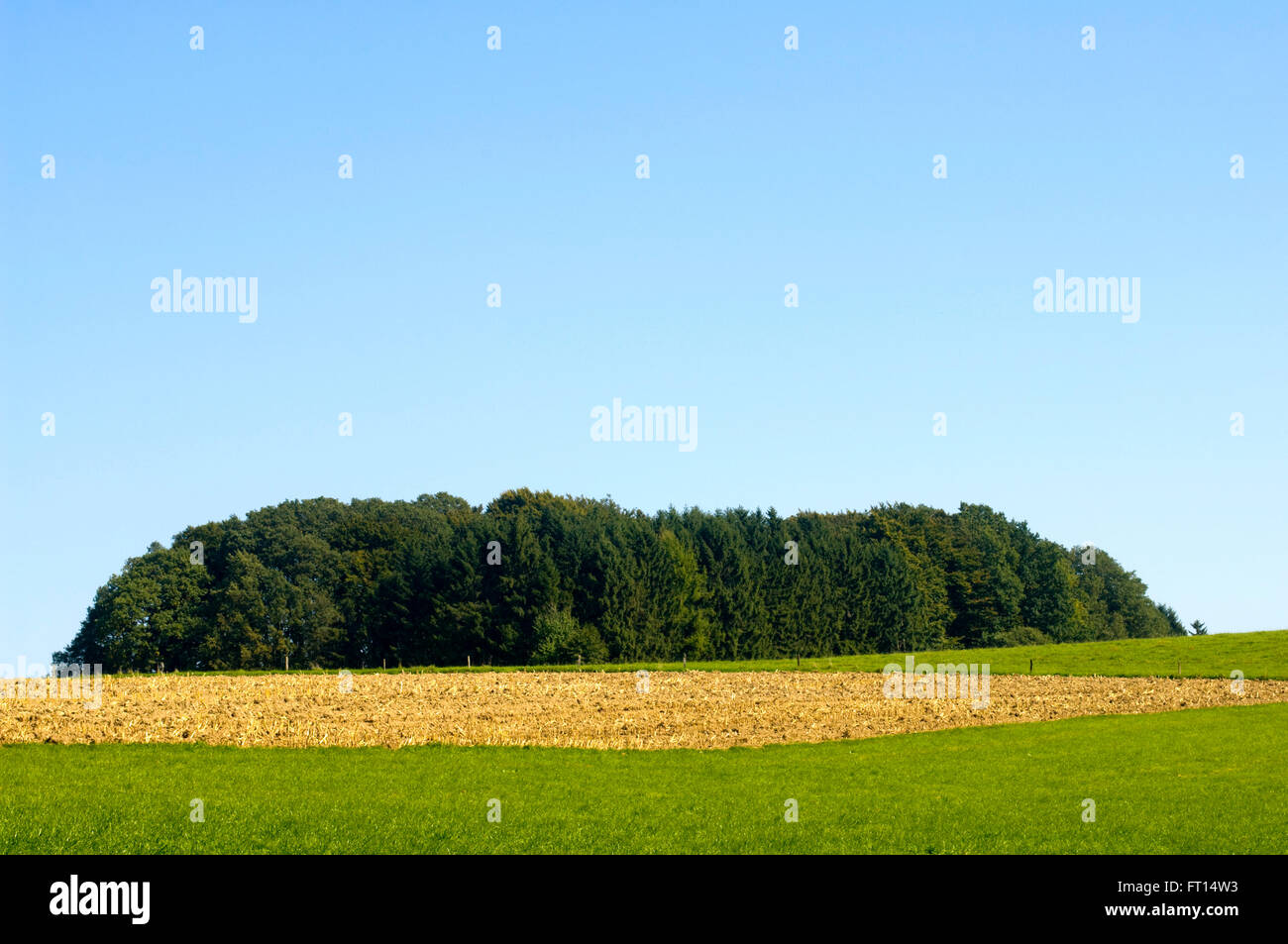 BRD, Nordrhein-Westfalen, Landschaft bei Bechen in der Gemeinde Kürten im Rheinisch-Bergischen Kreis Stock Photo