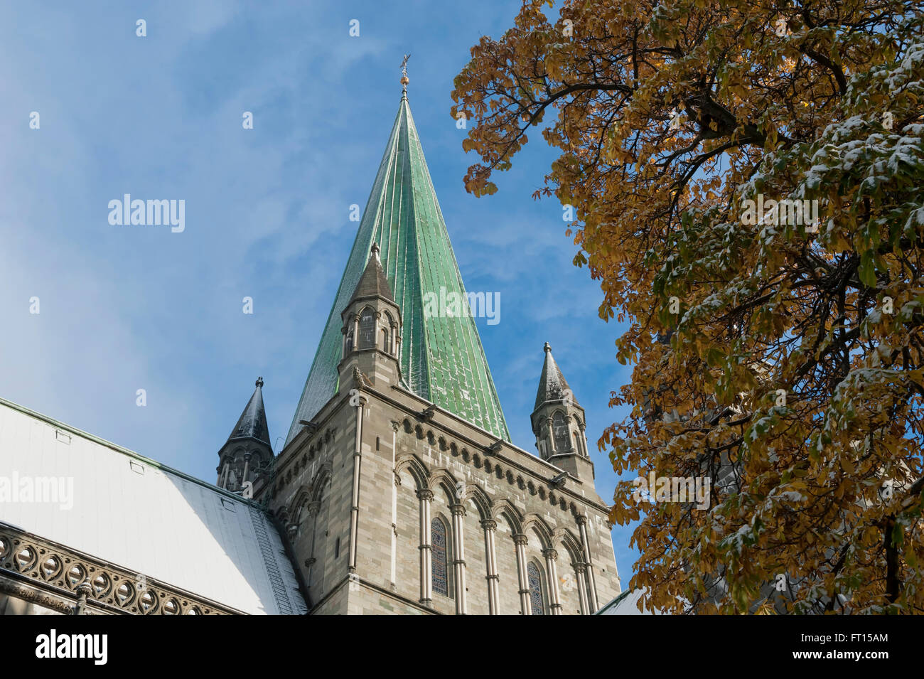 Spire and southern facade of Nidaros Cathedral. Trondheim. Norway. Europe Stock Photo