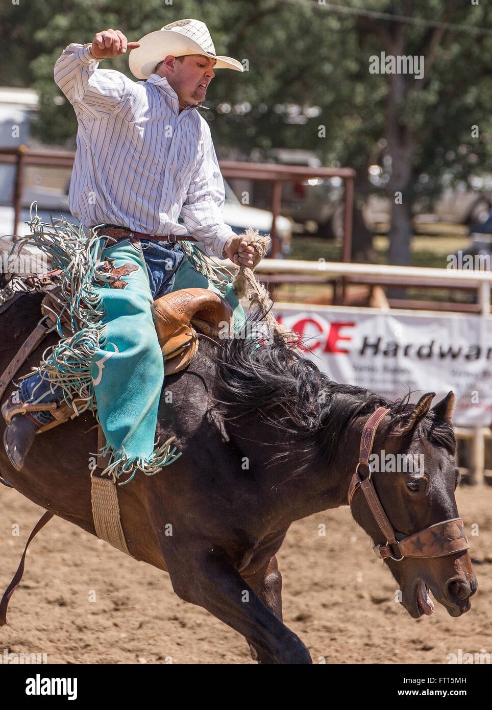 Rodeo action in Cottonwood, California Stock Photo Alamy