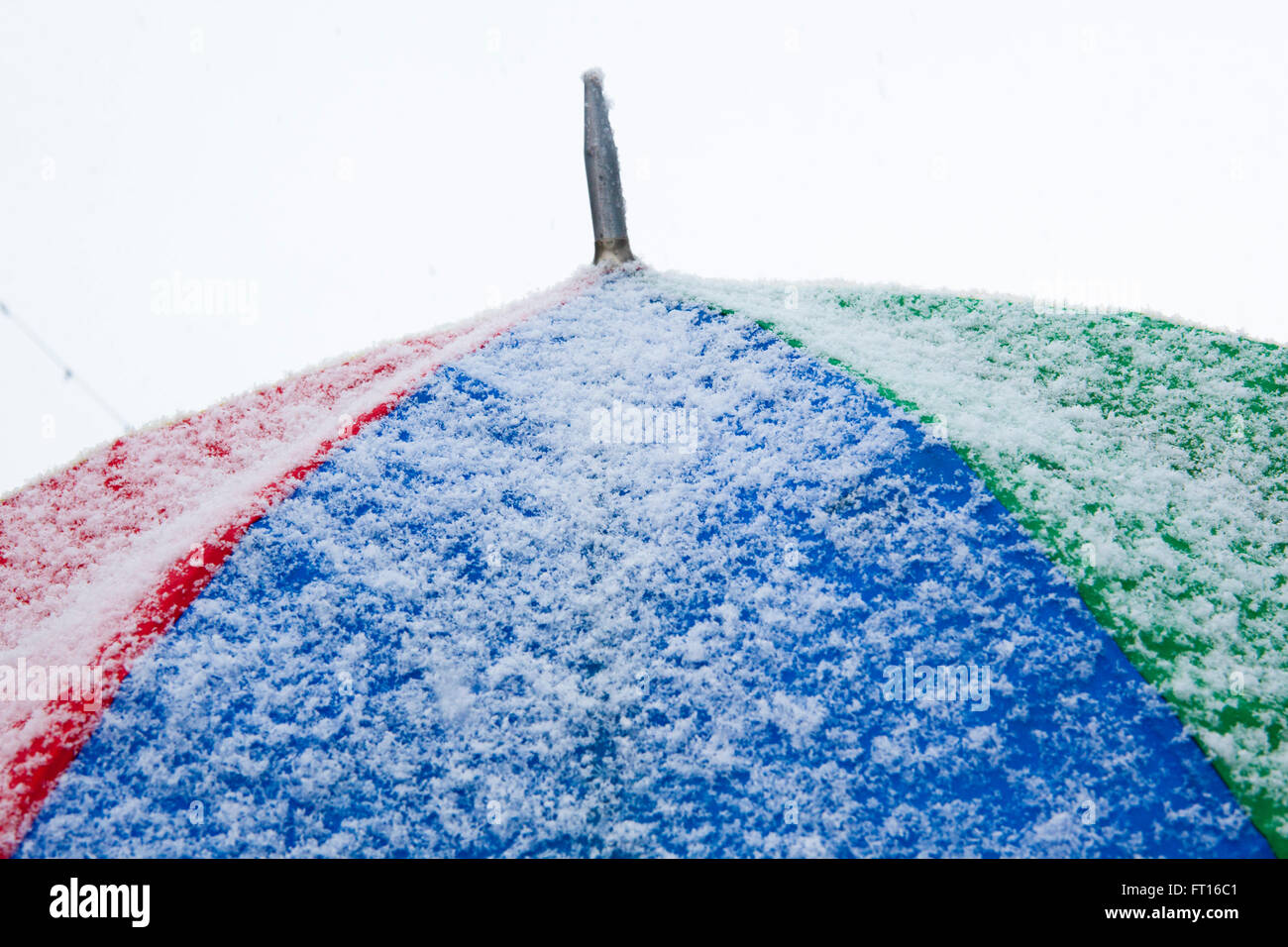 A colourful umbrella covered in snow Stock Photo Alamy
