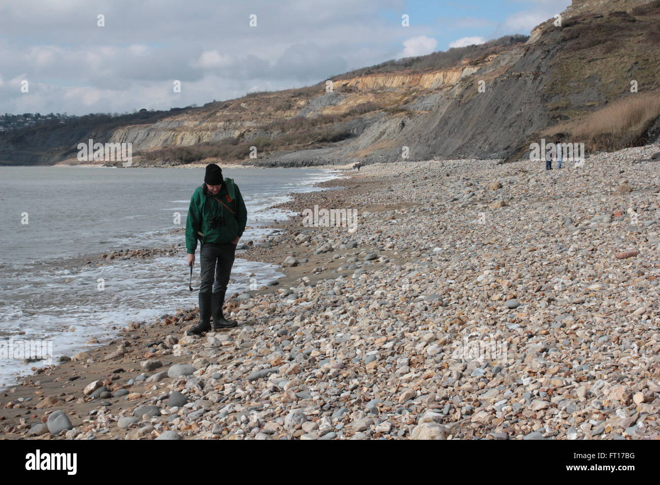 fossil hunting on Charmouth beach Stock Photo Alamy