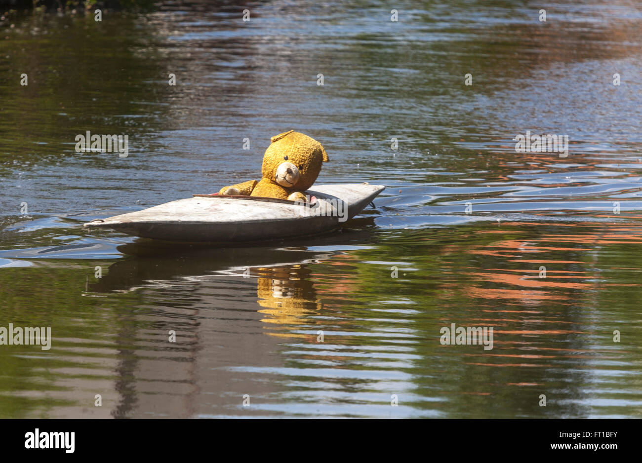 Teddy bear in vacation, sliding down a river in a kayak, Czech Republic Stock Photo