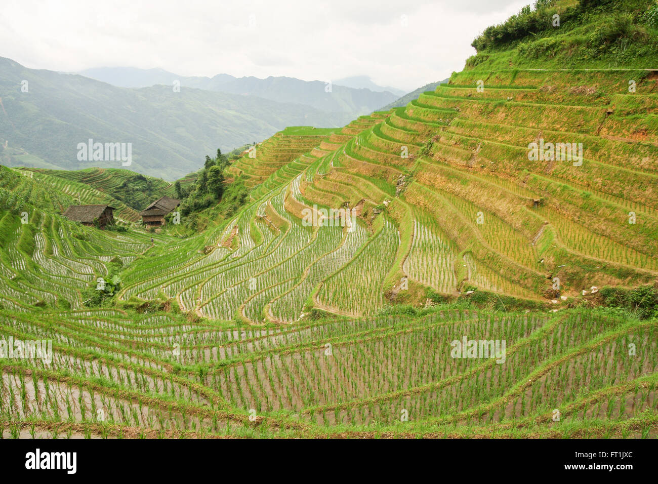 Longshen rice terraces hi-res stock photography and images - Alamy