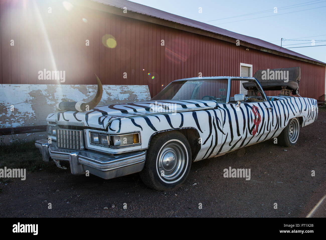 horns on car