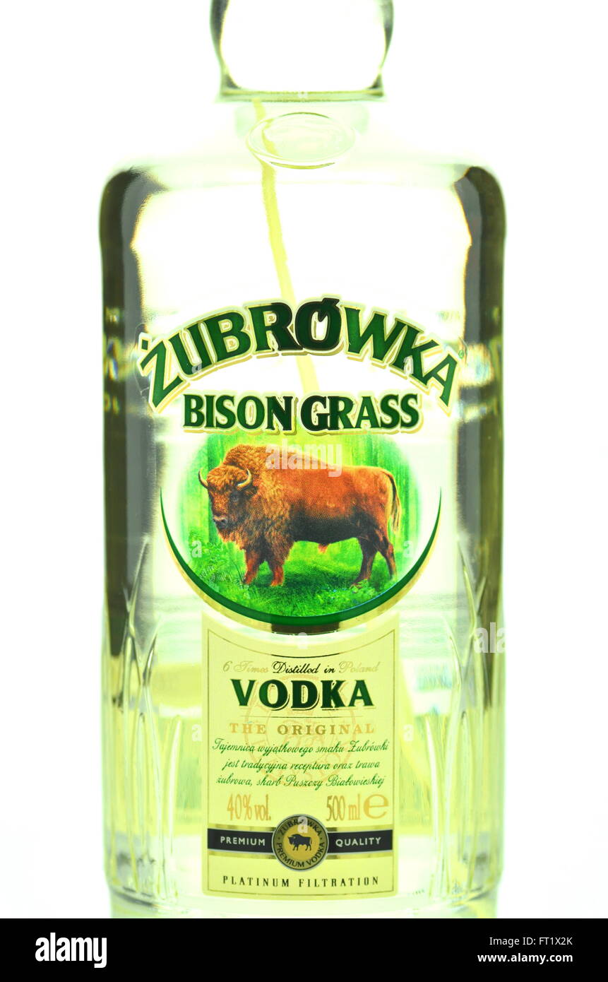 Zubrowka vodka isolated on white background. It is original flavored premium bison grass vodka produced by Polmos in Poland. Stock Photo