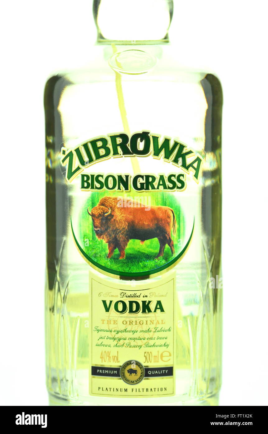 Zubrowka vodka isolated on white background. It is original flavored