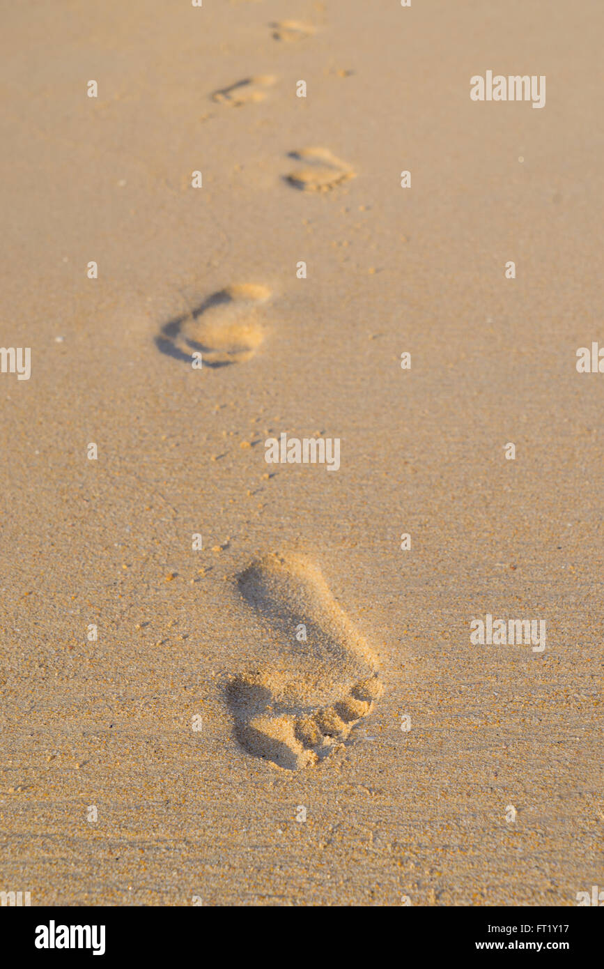 Footprints in the sand on the beach Stock Photo Alamy