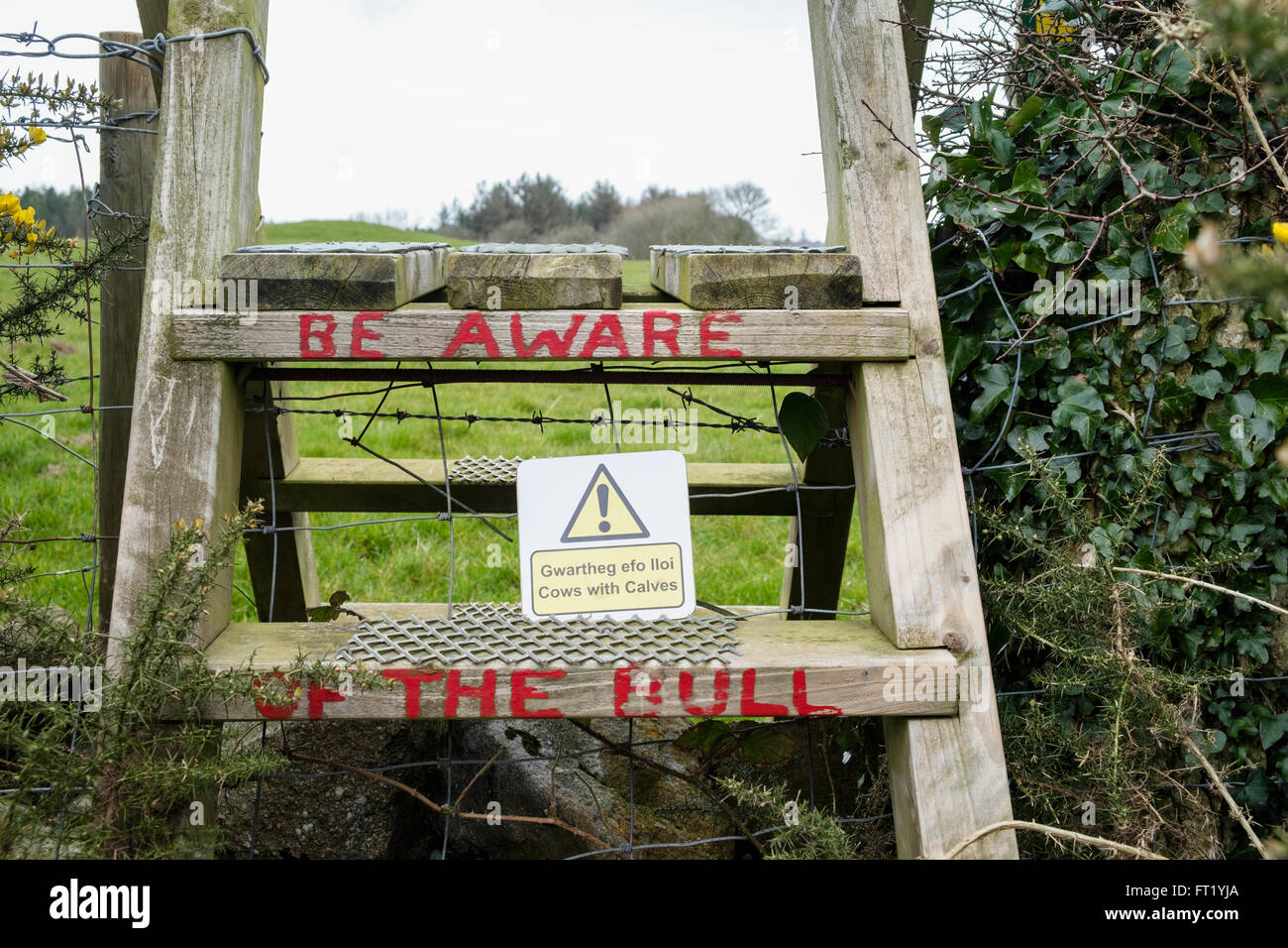 Be aware of the bull written on steps of a ladder stile on a public footpath through fields in countryside. Anglesey Wales UK Stock Photo