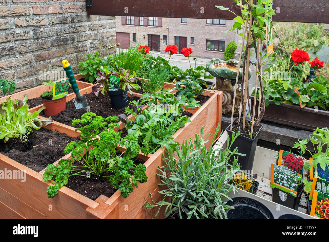 Raised bed vegetables flowers hi-res stock photography and images - Alamy