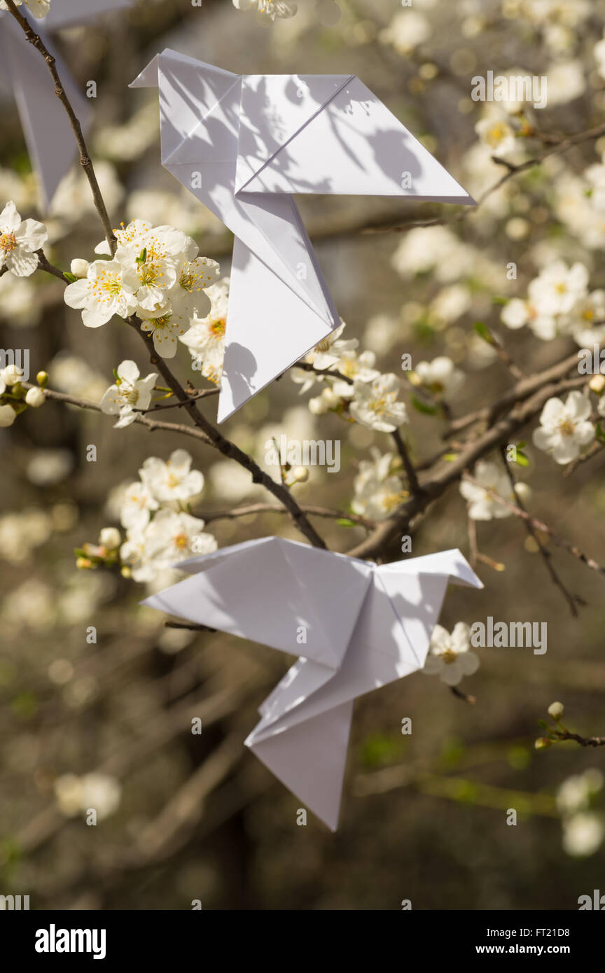 White origami dove birds hanging on blooming spring plum tree Stock Photo