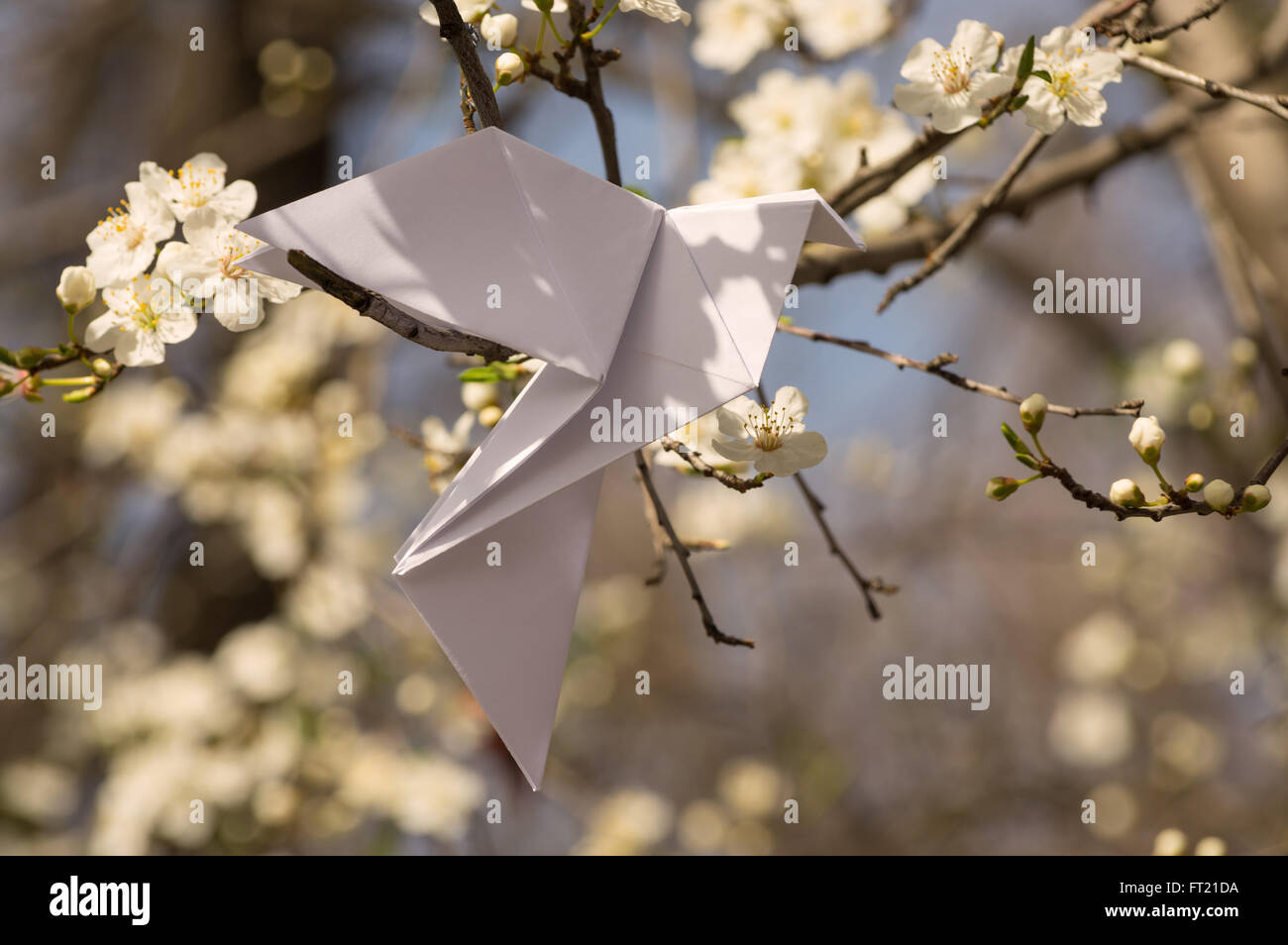 White origami dove bird hanging on blooming spring plum tree Stock Photo