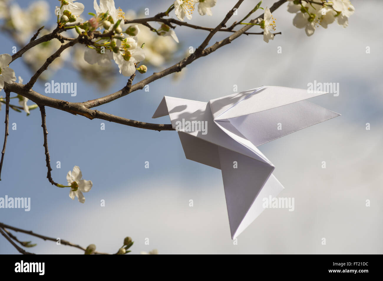 White origami dove bird hanging on blooming spring plum tree Stock Photo