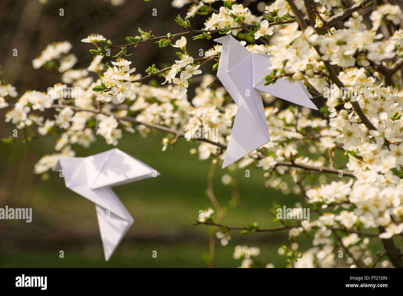 White origami dove birds hanging on blooming spring plum tree Stock Photo