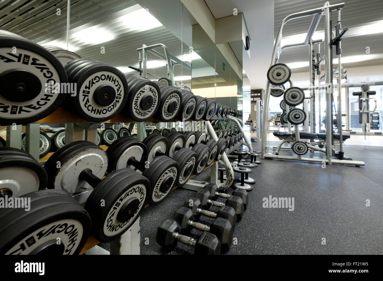 Rack of dumbbells at gym Stock Photo