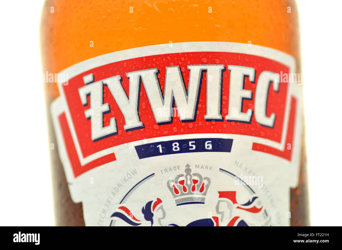 Zywiec beer isolated on white background Stock Photo Alamy