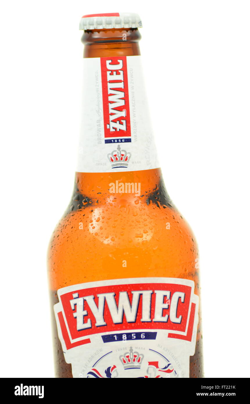 Zywiec beer isolated on white background. Stock Photo